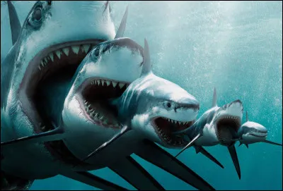 La plus grande mâchoire de mégalodon faisait...