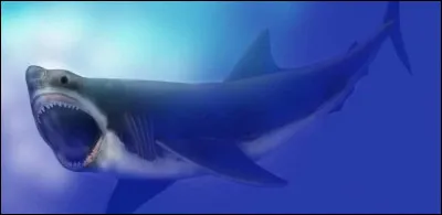 Quel est son nom scientifique ?