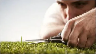 Quel est ton pire défaut ?