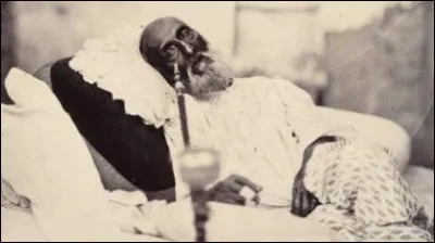 Il sera le dernier de 1837 à 1857 : il était issu d'une lignée qui gouvernait l'Inde depuis 300 ans mais lui-même, était assujetti aux Britanniques. Selon Wiki, il vivra dans le ''désarroi devant la décomposition du pouvoir impérial ''.
Qui est celui que l'on voit ici en 1858, juste après son procès et son départ pour l'exil à Burma.