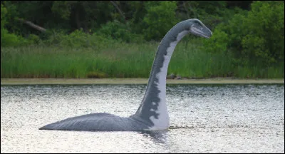 Et son nom scientifique est :