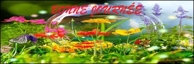 Comment se nomme le fait de former un mot avec la capitale d'une série d'autres mots disposés à la verticale, comme vous venez de le faire ?