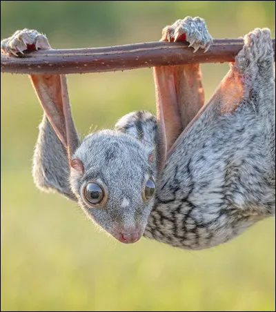 A quoi associez-vous la photo ?