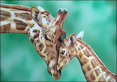 Vous avez bien s&ucirc;r reconnu ces animaux, mais leur nom peut signifier autre chose !