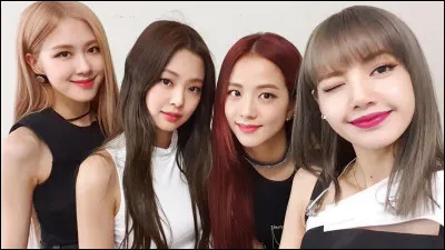 Qui représente les Black de Blackpink ? (plusieurs réponses)