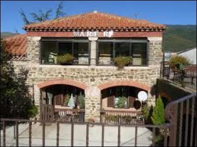 Petit village Occitan de 37 habitants, dans la région naturelle du Conflent, Souanyas se trouve dans le département ...