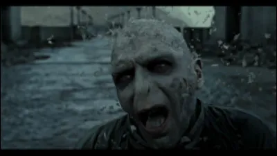 Qui a dit : "On les a eus,Vaincus, battus,Le p'tit Potter est un héros,Voldy nourrit les asticots,Ils ont tous été écrasés,
Maintenant, on peut rigoler !"