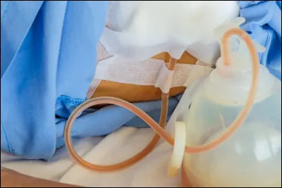 Il sort de l'avion encore en vol, c'est le...