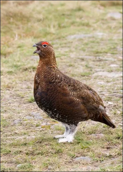 Dépasse la mesure, c'est l'...