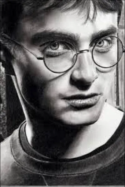 Retrouvez l'histoire concernant Harry Potter.