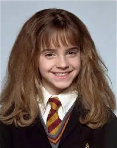 Retrouvez l'histoire concernant Hermione Granger.