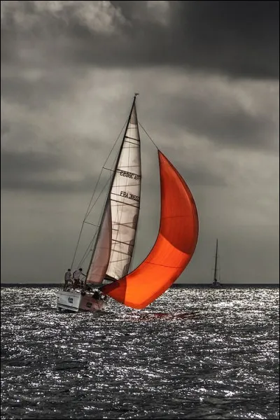 Qui interprétait les paroles "Respire un peu le souffle d'or qui me pousse en avant, fais comme si j'avais pris la mer" ?