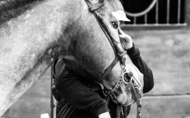 Quiz Galop 1