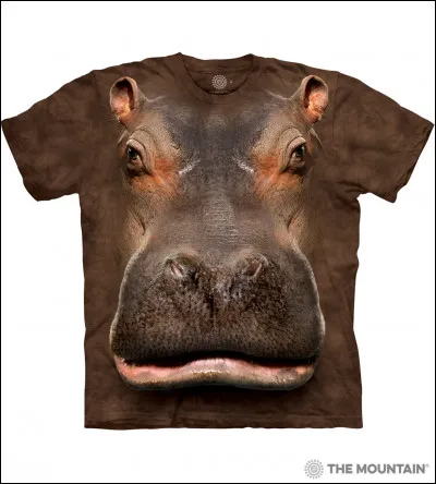 Comment s'appelle cet animal ?