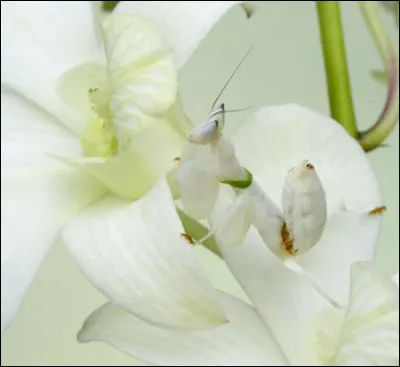 A qui avez-vous affaire ?