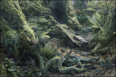 Plus de trois animaux sont cachés sur cette photo !