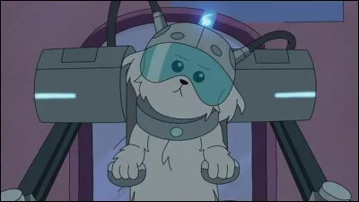 Dans l'&eacute;pisode 2 de la saison 1, le chien d&eacute;sire qu'on l'appelle "Boule de Neige". Quel &eacute;tait son ancien nom ?