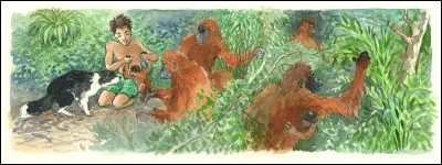 Comment s'appelle la femelle orang-outan proche de Kensuké ?