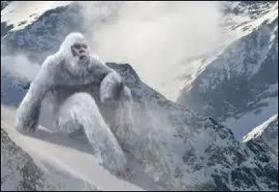 Selon le Népal, sa taille est proche de...