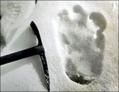 Comment s'appelle le livre publié en 1958, où les héros se font aider par une tribu de yétis ?