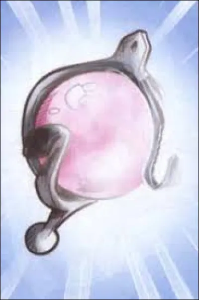 Comment s'appelle cet objet ?