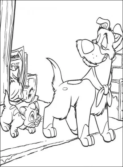 Nous voici à présent à New York pour partir à la rencontre d'Oliver et ses amis. Mais je ne me souviens plus de sa couleur. Cela va être embêtant pour le retrouver... 
De quelle couleur est son pelage, déjà ?