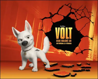 Revenons à notre époque et allons nous promener dans la rue pour dire bonjour à notre cher Volt et à sa copine chatte dont le nom m'échappe complètement. 
Elle s'appelle comment, déjà ?