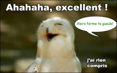 Trouvez un synonyme du mot gueule !