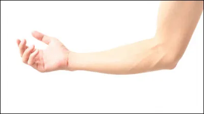 En quatre lettres : il peut être droit ou long. La voyelle est un ...