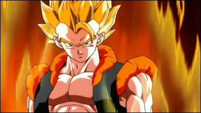 Comment s'appelle cette fusion entre Sangoku et Vegeta ?