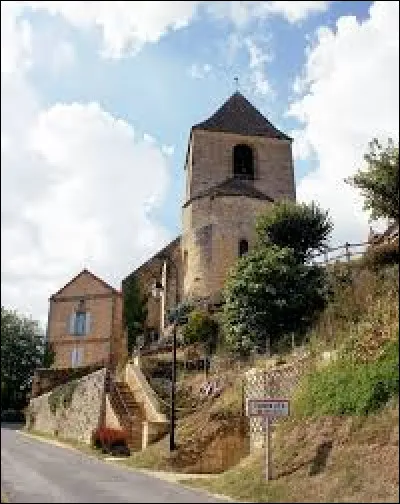 Commune de Nouvelle-Aquitaine, dans l'arrondissement de Sarlat-la-Canéda, Tamniès se situe dans le département ...
