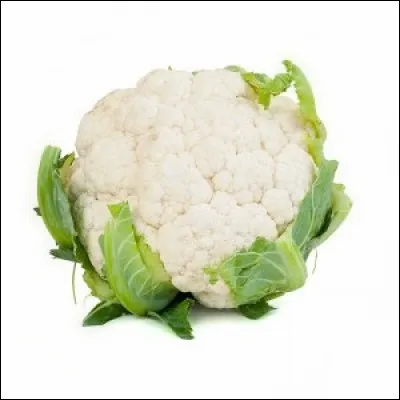 Quel est ce légume ?