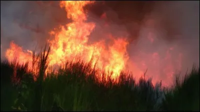 Comment s'appelle cette catastrophe ?