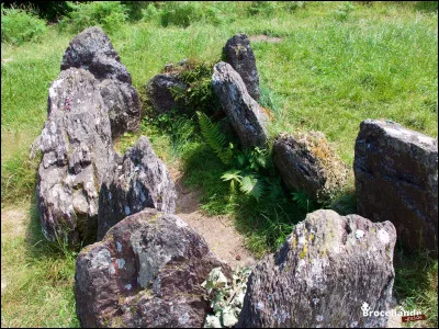 La promenade est finie !... Si vous permettez, je vous pose une dernière question : l'Hotié de Viviane se situe à...