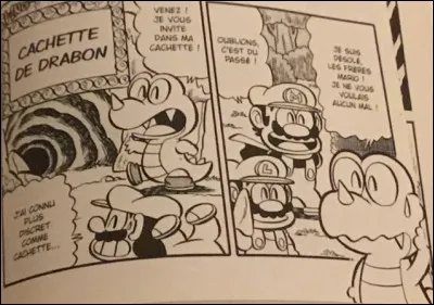 Comment s'appelle l'ami de Yoshi ?