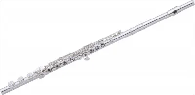 Quel est le nom de cet instrument de musique ?