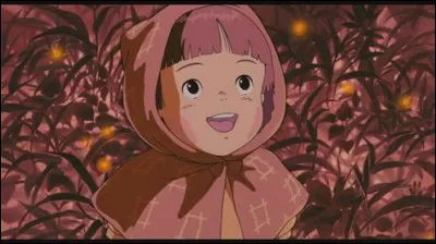 Dans quel dessin animé trouve-t-on ce personnage ?