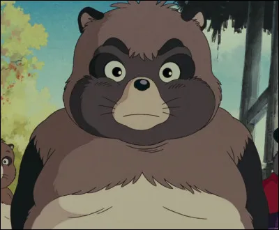 Comment s'appelle ce Tanuki ?