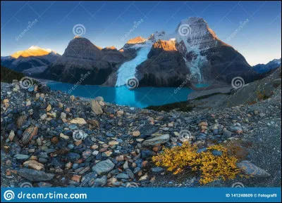 Qui joue dans le film de Jean-Jacques Annaud "Sept ans au Tibet" ?