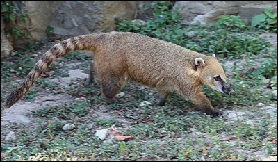 Retrouve le nom de ce personnage !