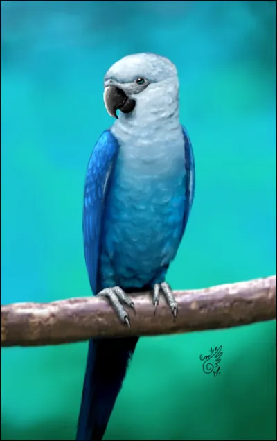 Il est le héros du film "Rio" !