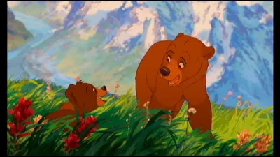 Que dit l'ours à l'ourson quand le petit ourson lui dit "Si tu veux je peux t'en raconter une autre ! "