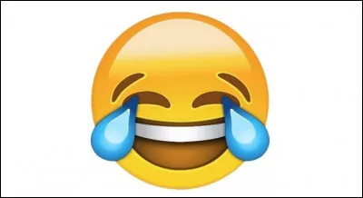 Qu'est-ce que Chuck Norris arrive &agrave; faire pleurer ?