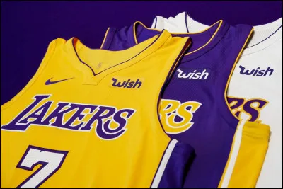 Ce sont des maillots de...