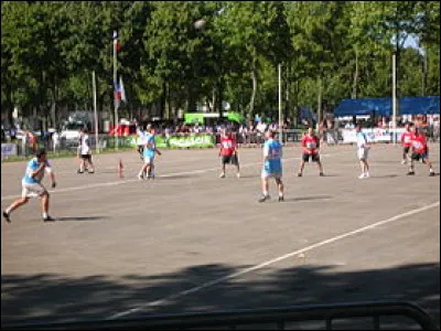 Où le ballon au poing est-il un sport célèbre ?