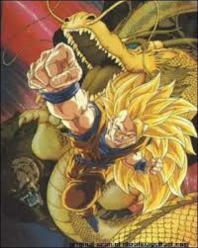 Dans quel manga peut-on voir le poing du dragon ?