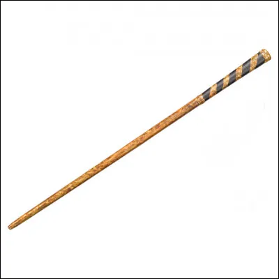 &Agrave; qui appartient cette baguette ?