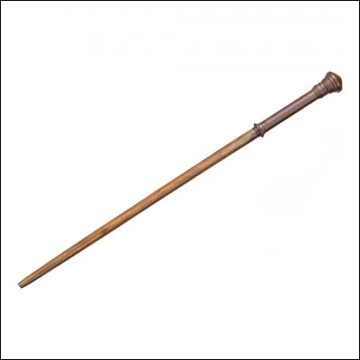 &Agrave; qui appartient cette baguette ?