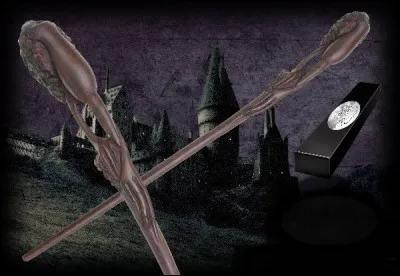 &Agrave; qui appartient cette baguette ?