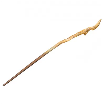 &Agrave; qui appartient cette baguette ?